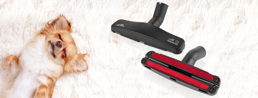 Odkurzacze bezworkowe ETA Avanto Gold ETA351990000 5