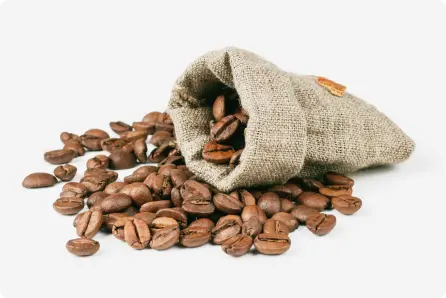 Ziarna kawy