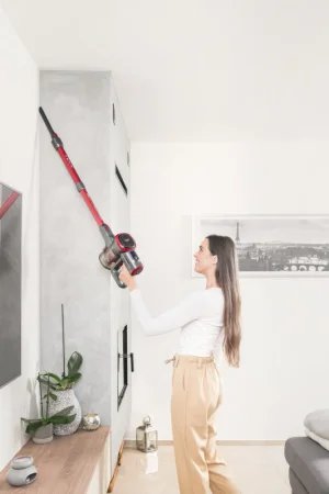 Odkurzacz pionowy ETA Fenix Red Ergonomic ETA223390000