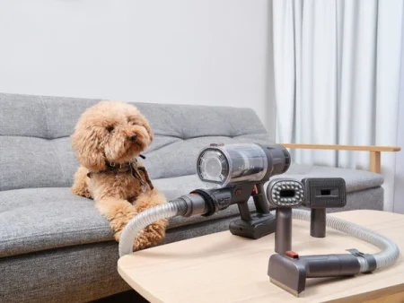 Odkurzacz pionowy ETA Terier ETA524790000